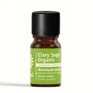 MUSKOTÁLY ZSÁLYA - Salvia sclarea