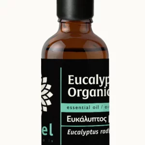 EUKALIPTUSZ illóolaj - Eucalyptus radiata ct. cineol