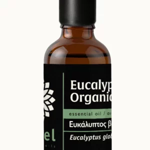 EUKALIPTUSZ illóolaj - Eucalyptus globulus