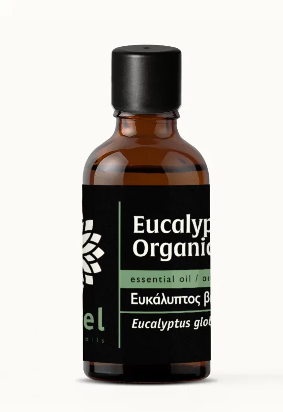 EUKALIPTUSZ illóolaj - Eucalyptus globulus