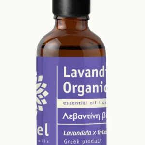 LEVENDULA HIBRID - Lavandula x intermedia - Lavandin